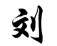 刘翔联赛已进19球再成焦点(刘翔联赛已进19球再成焦点了吗)|CQ9电子体育